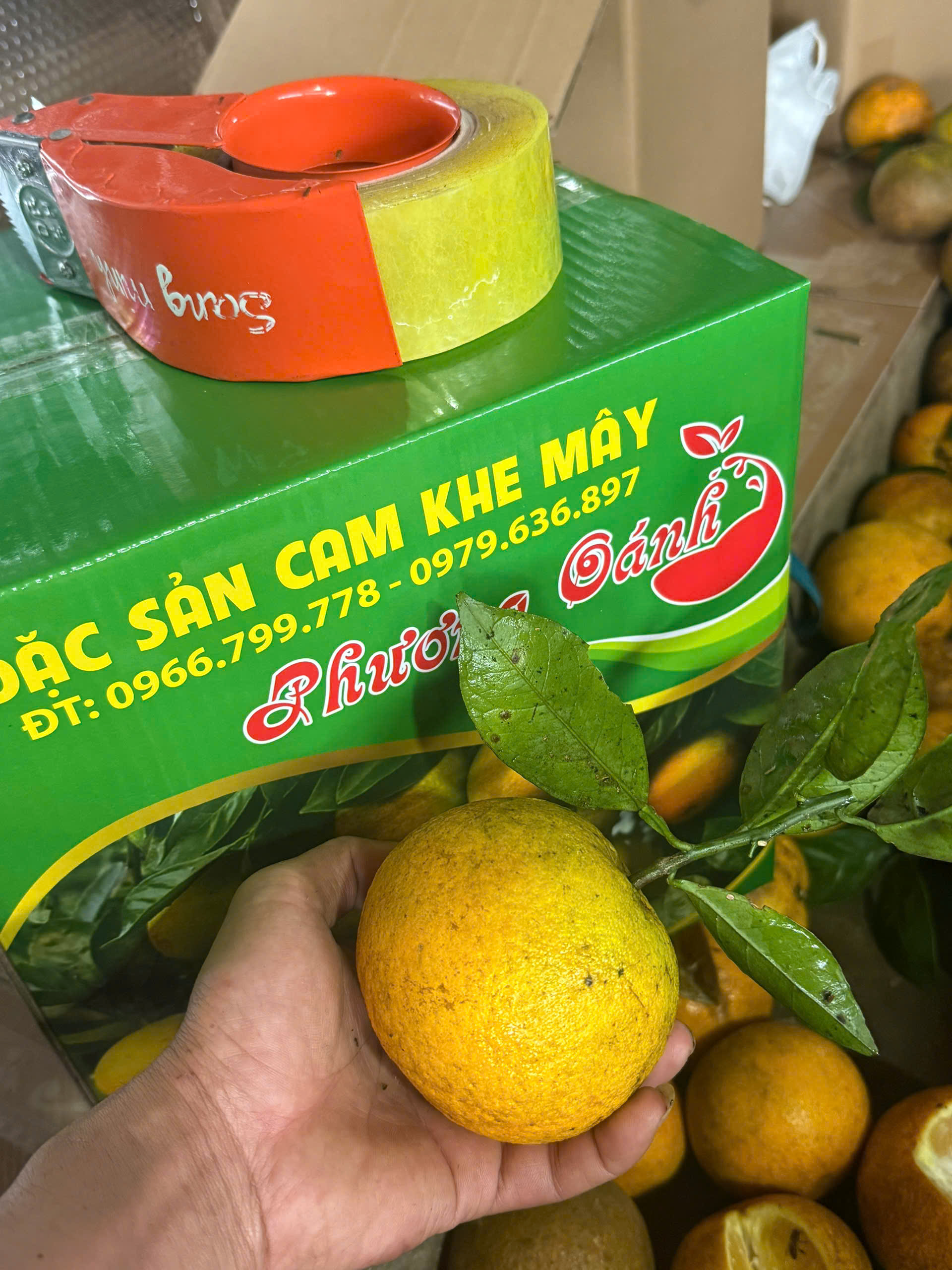 Vỏ Rám Đặc Trưng & Thùng Quà Biếu